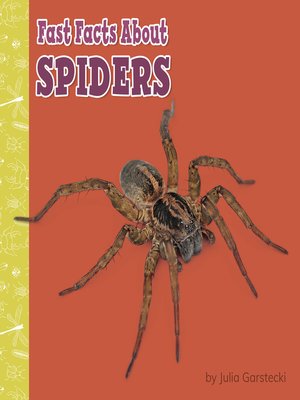 cover image of Fast Facts About Spiders
